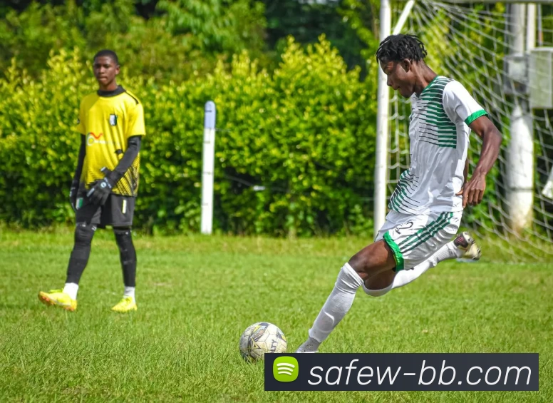 贝博体育APP 高清赛事图